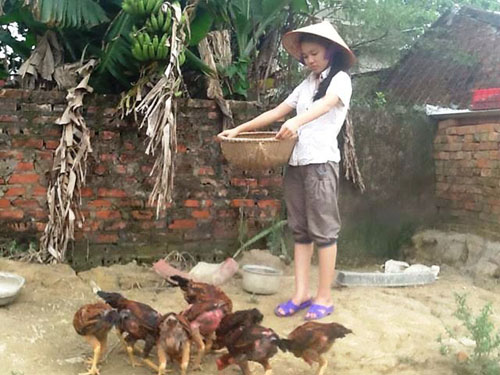 Chăm sóc đàn gà là công việc hằng ngày của Nga - Ảnh: Trần Nguyễn Như Minh